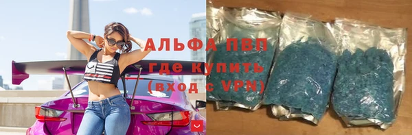 индика Белоозёрский