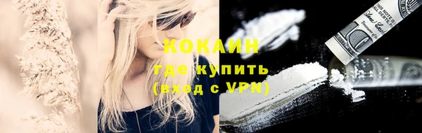 индика Белоозёрский