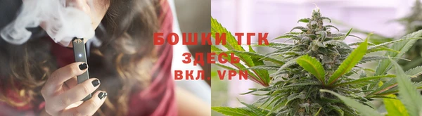 индика Белоозёрский