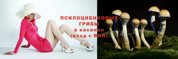 каннабис Беломорск